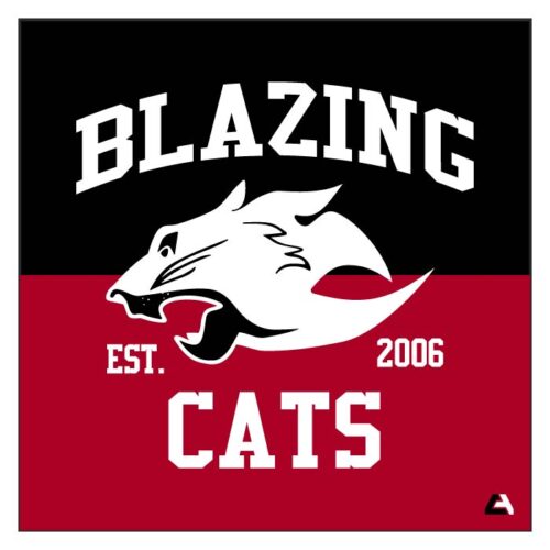 Blazing Cats - Full-Dye Blanket