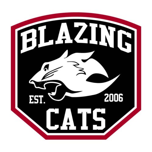 Blazing Cats - Vinyl Sticker