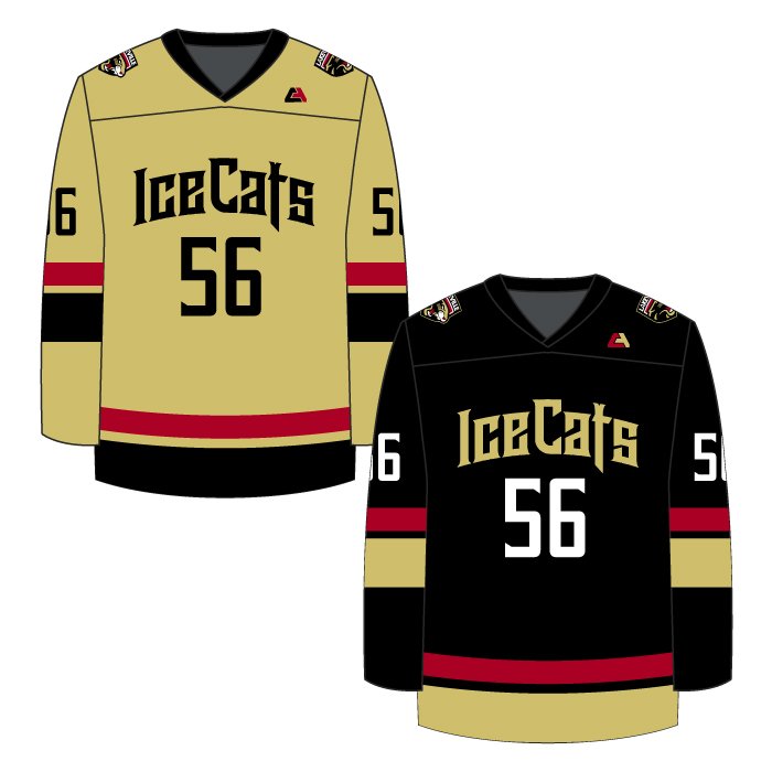 Icecats Reversible Practice Jersey – NY Ice Cats